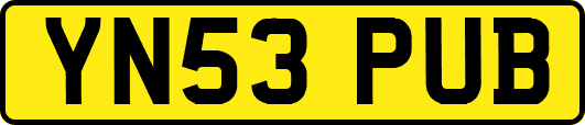 YN53PUB