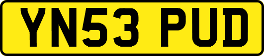 YN53PUD