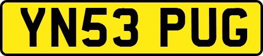 YN53PUG