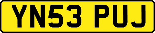 YN53PUJ