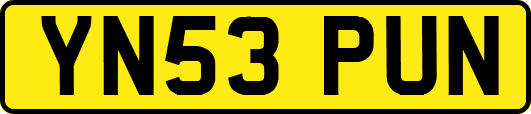 YN53PUN