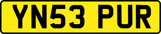 YN53PUR