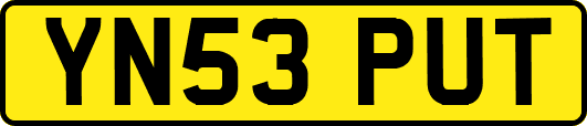 YN53PUT