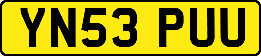 YN53PUU