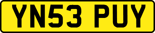 YN53PUY