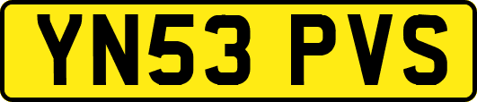 YN53PVS
