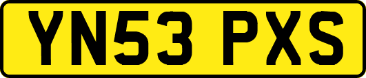 YN53PXS