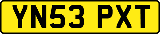 YN53PXT