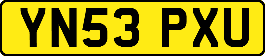 YN53PXU