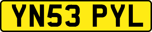 YN53PYL