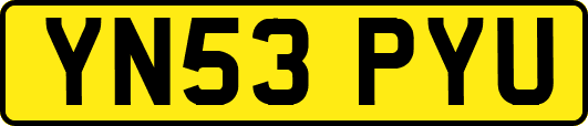 YN53PYU