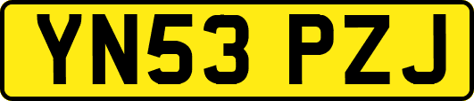 YN53PZJ