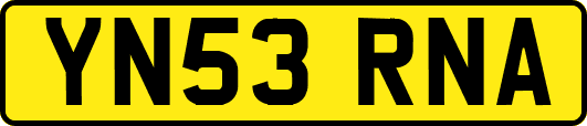 YN53RNA