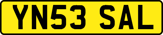 YN53SAL