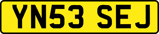 YN53SEJ