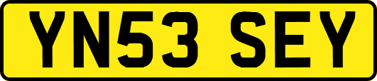 YN53SEY