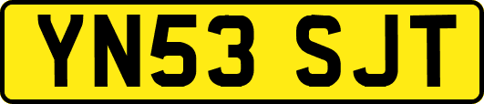 YN53SJT