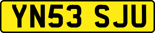 YN53SJU