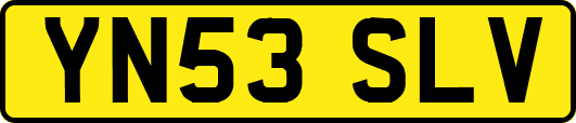 YN53SLV