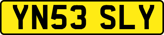 YN53SLY