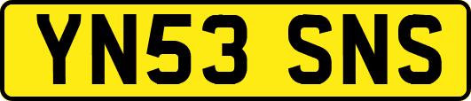 YN53SNS