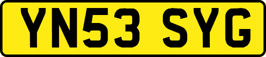 YN53SYG