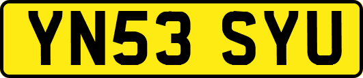 YN53SYU