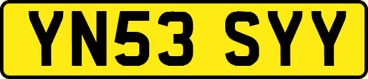 YN53SYY