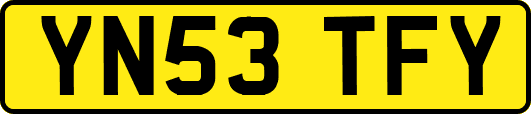 YN53TFY
