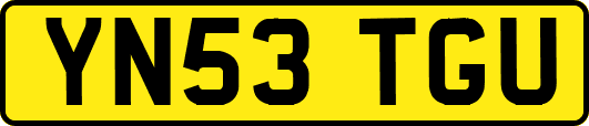 YN53TGU