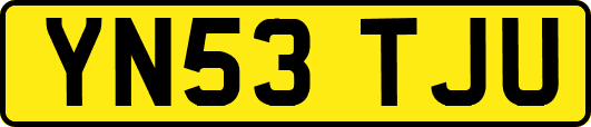 YN53TJU