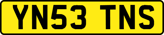YN53TNS
