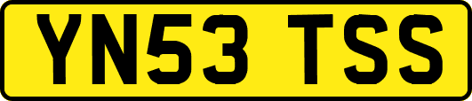 YN53TSS