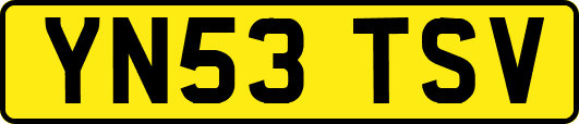 YN53TSV