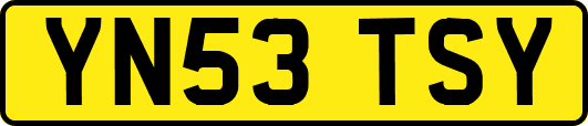 YN53TSY