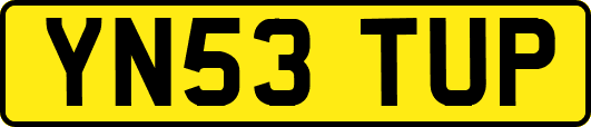 YN53TUP