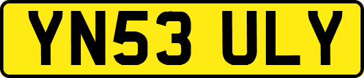 YN53ULY