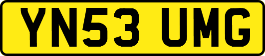 YN53UMG