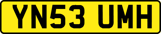 YN53UMH
