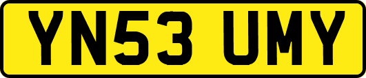 YN53UMY