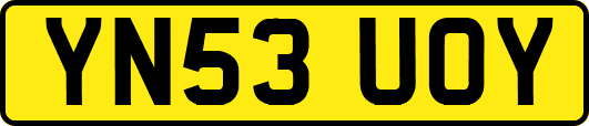 YN53UOY