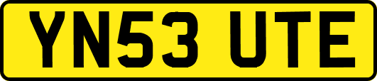 YN53UTE