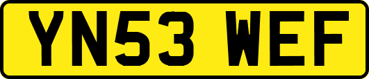 YN53WEF