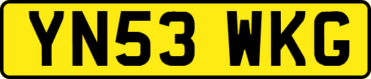 YN53WKG
