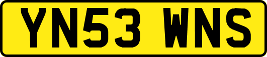 YN53WNS