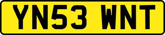 YN53WNT