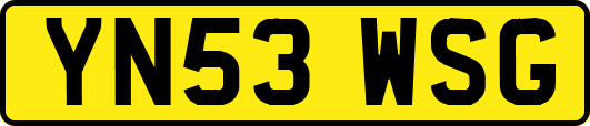 YN53WSG