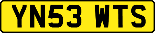 YN53WTS