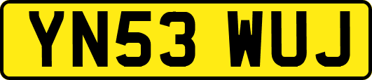 YN53WUJ