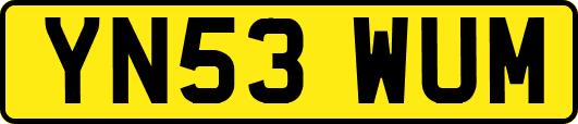 YN53WUM